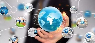 行業(yè)不斷刷新，寵物店家如何玩轉(zhuǎn)網(wǎng)絡文化經(jīng)營之道