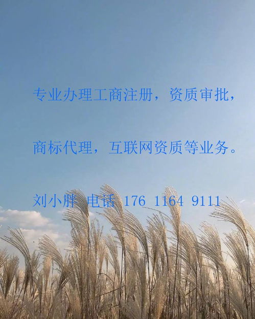 豐臺成壽寺辦理網絡文化經營許可證（文網文）條件及加急服務指南